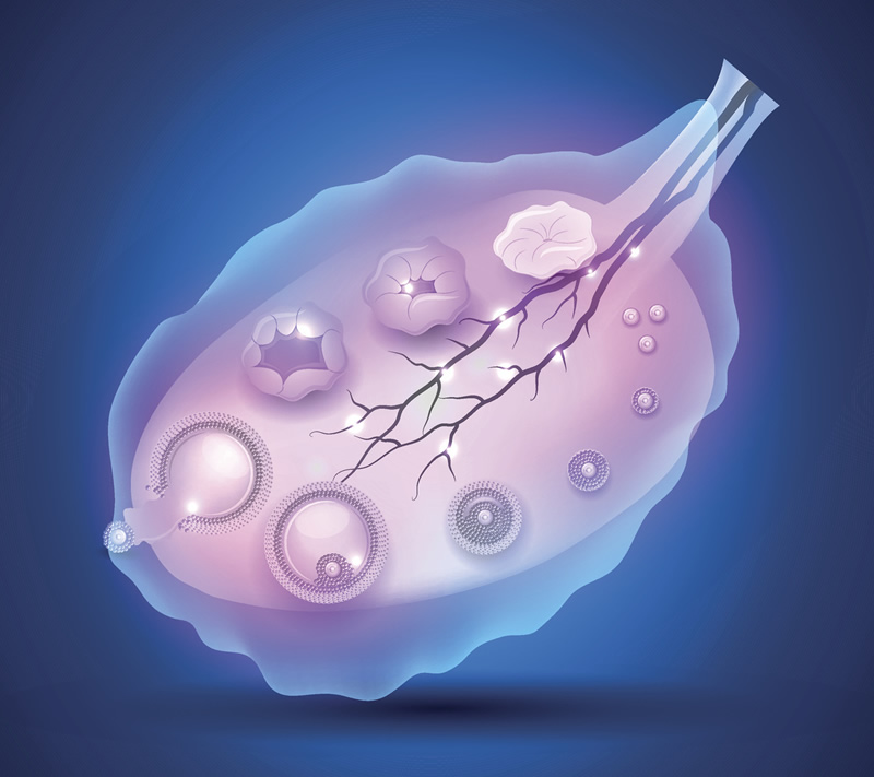 甘肃试管医院排名公布,甘肃省做试管哪家医院好！